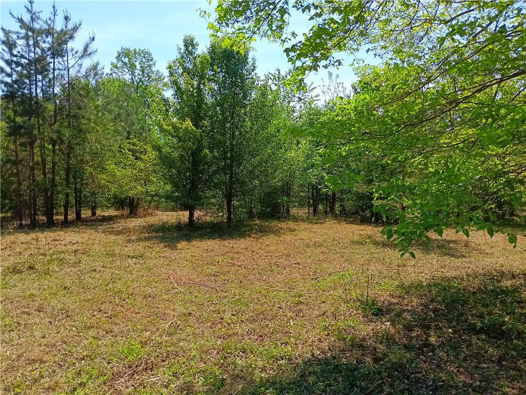 Image 3: A spacious, cleared lot offers a serene setting su