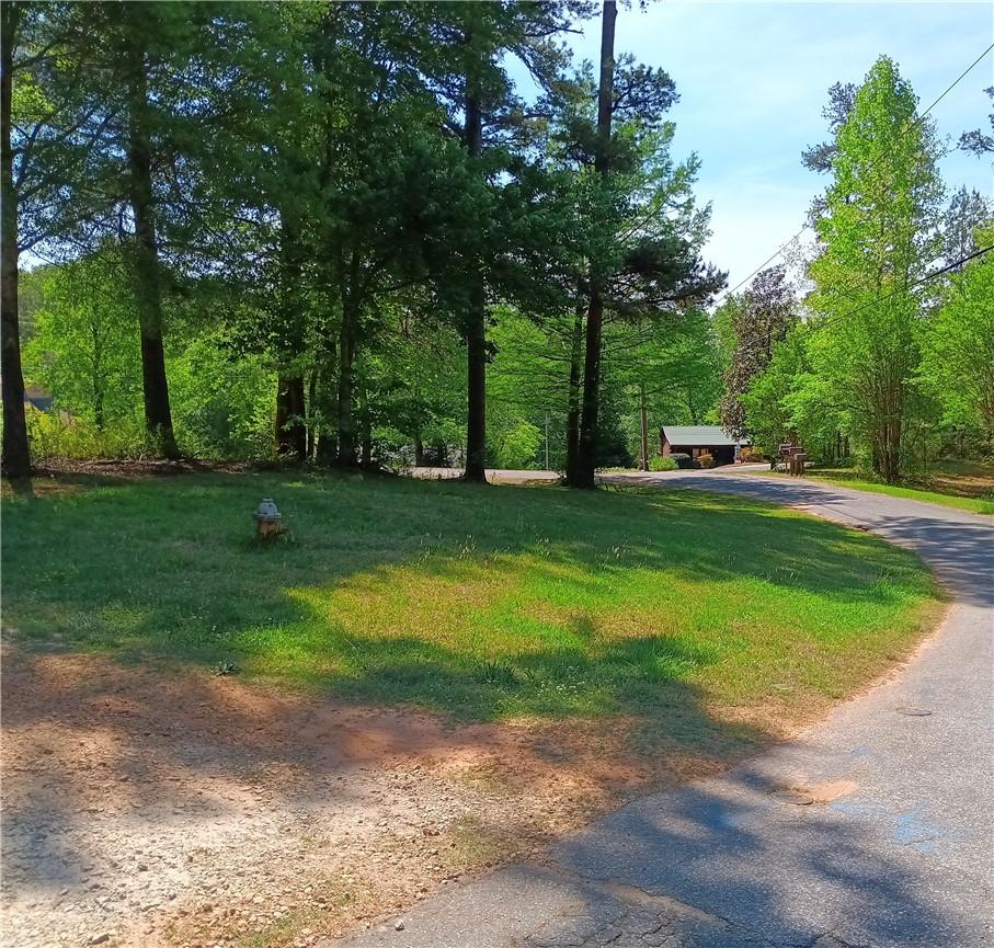 Image 3: A tranquil, tree-lined road to common area