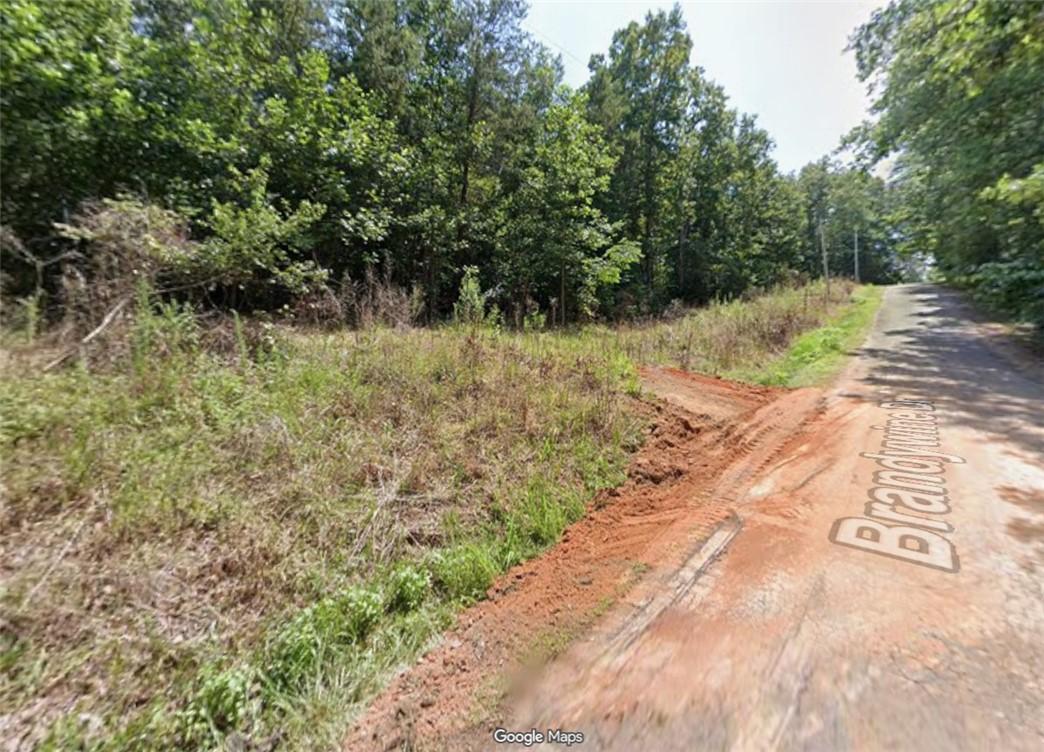 Image 1: This verdant lot offers abundant greenery and a tr