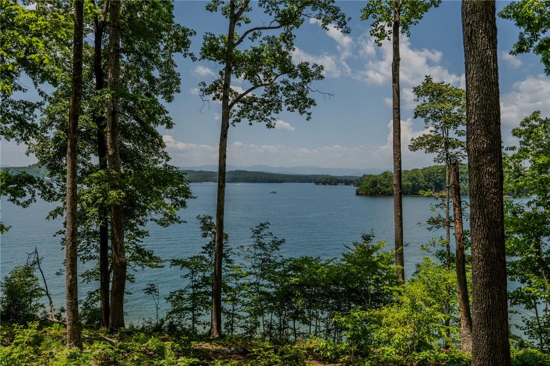 Image 2: A tranquil lake view from a wooded property, with