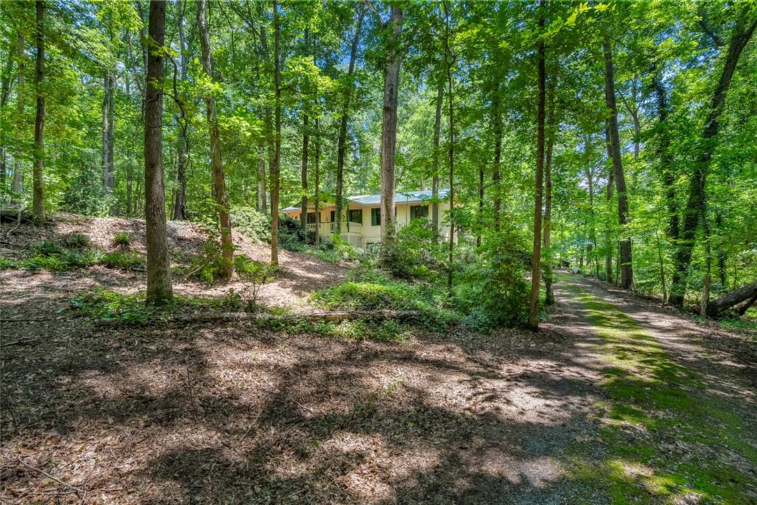 Image 2: A secluded dwelling nestled amongst a verdant wood