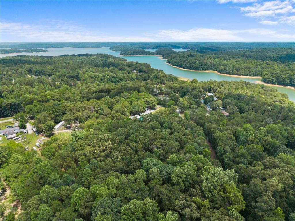 Image 3: A sprawling landscape reveals abundant greenery bo