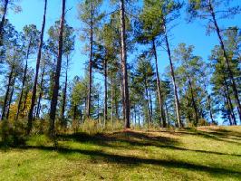 Lot 3 LITTLE KEOWEE BAY