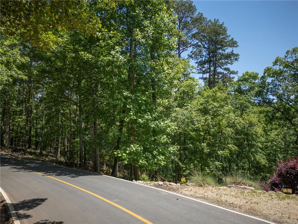 Image 3: Road View