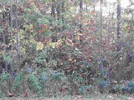 E-23 Jocassee Ridge Way