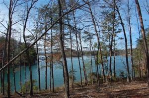 Lot 32 Squirrel Point