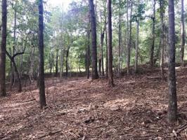 Lot 268 Maplewood Court