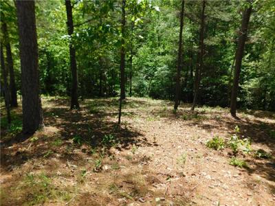 Lot 12 Canebrake Drive