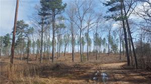 30+/- acres Stamp Creek Landing Road