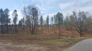 20+/- acres Stamp Creek Landing Road