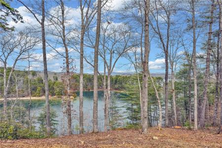 731 Barberry Court