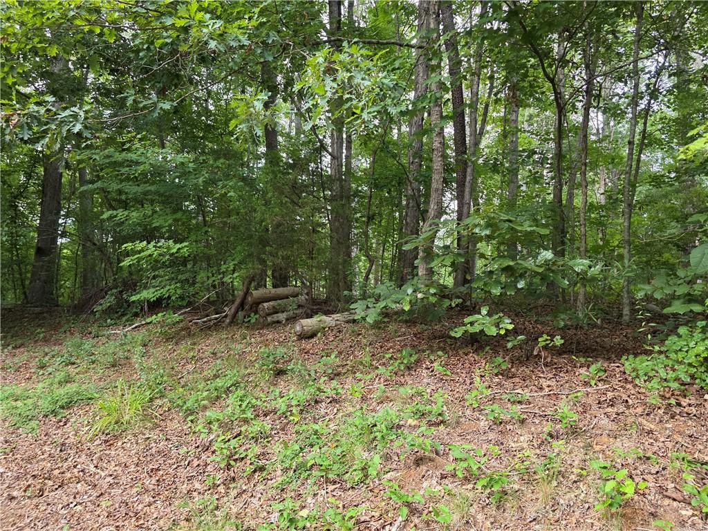 Image 2: A tranquil, wooded lot offers privacy and natural
