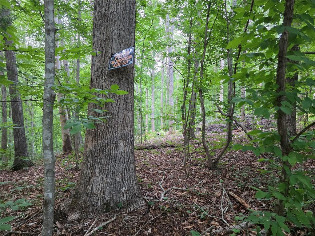 Image 3: A tranquil wooded lot offers a private, natural se