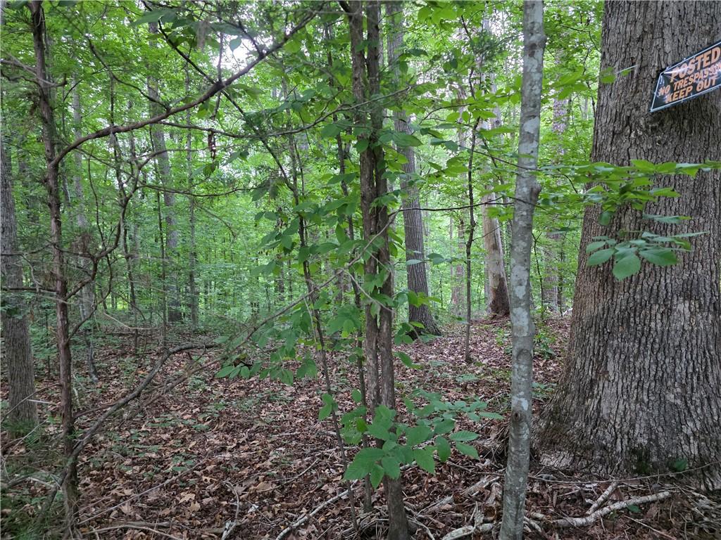 Image 4: A tranquil wooded lot offers a private, natural se