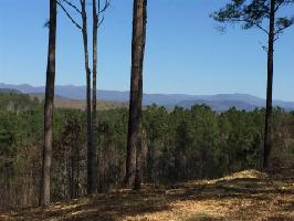 HR95 Hunting Hollow Drive