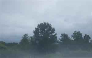 00 Ridgewood Court Lot 43