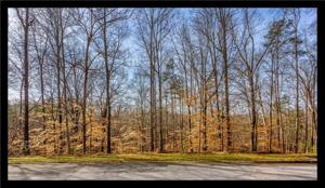 00 WILLOW WOOD COURT Court Lot 15