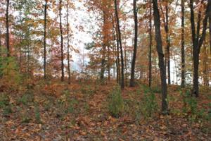 Lot 1B Deep Water Way
