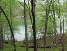 Lot 58 Hardwood Point Drive