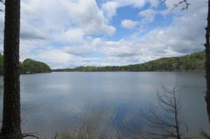Lot 8 Currahee Point Shores