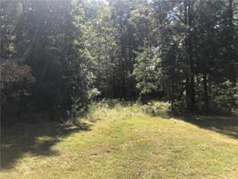 111 Summer Sweet Trail