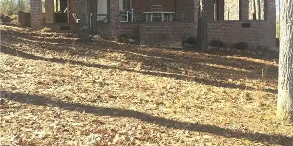 291 Lakeshore Drive