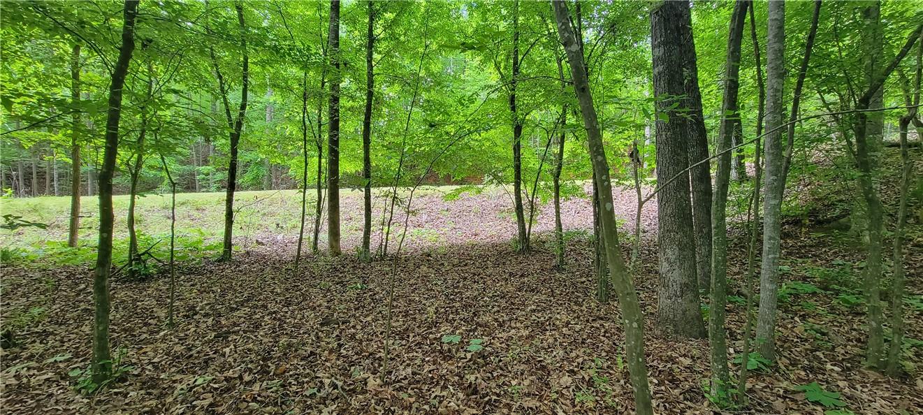 Image 2: From interior of lot