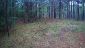 1 and 3 Stamp Creek Landing Drive