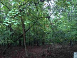 00 Cold Water Drive Lot F 88