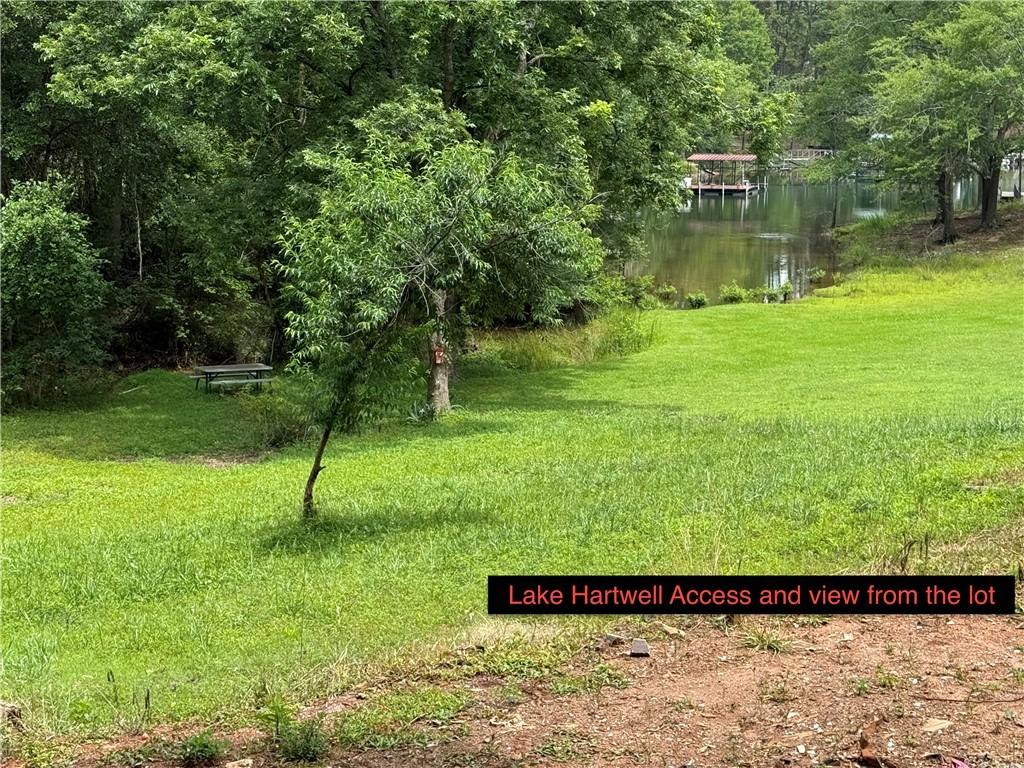 Image 4: Views of Lake Hartwell from the front porch