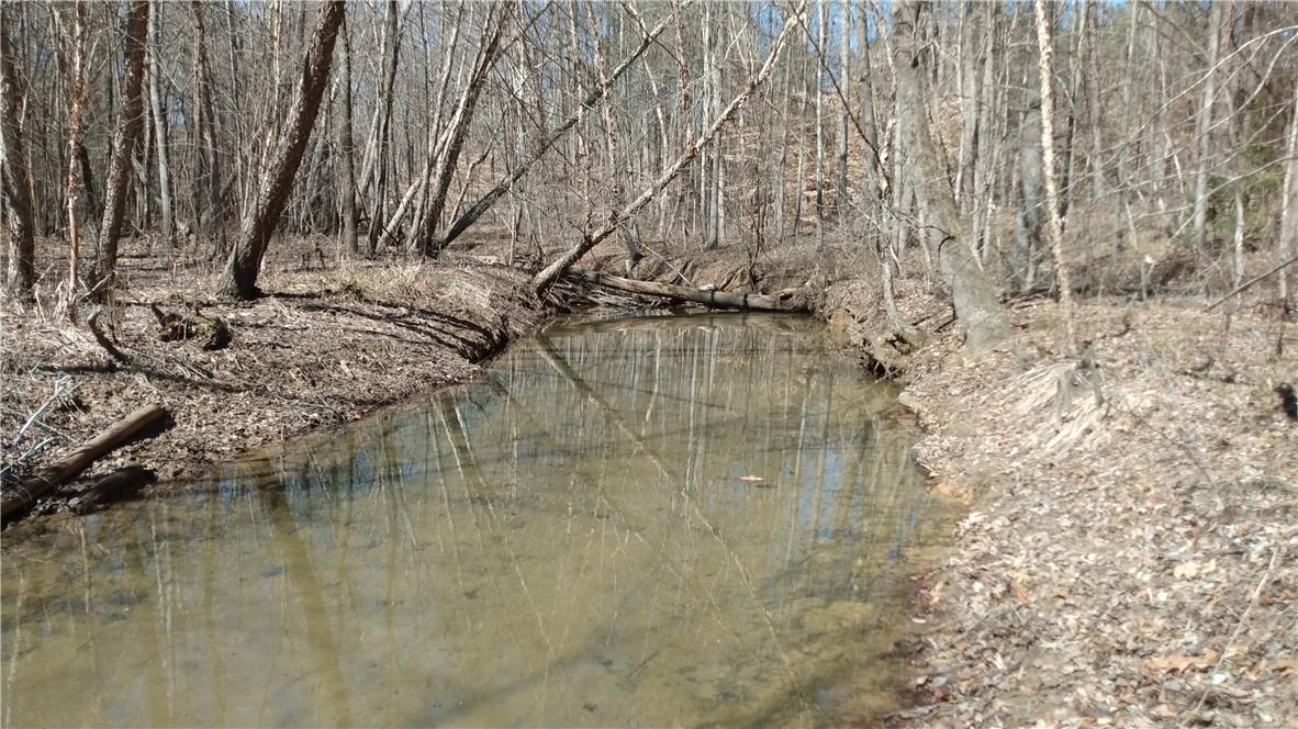 Image 1: creek behind lot