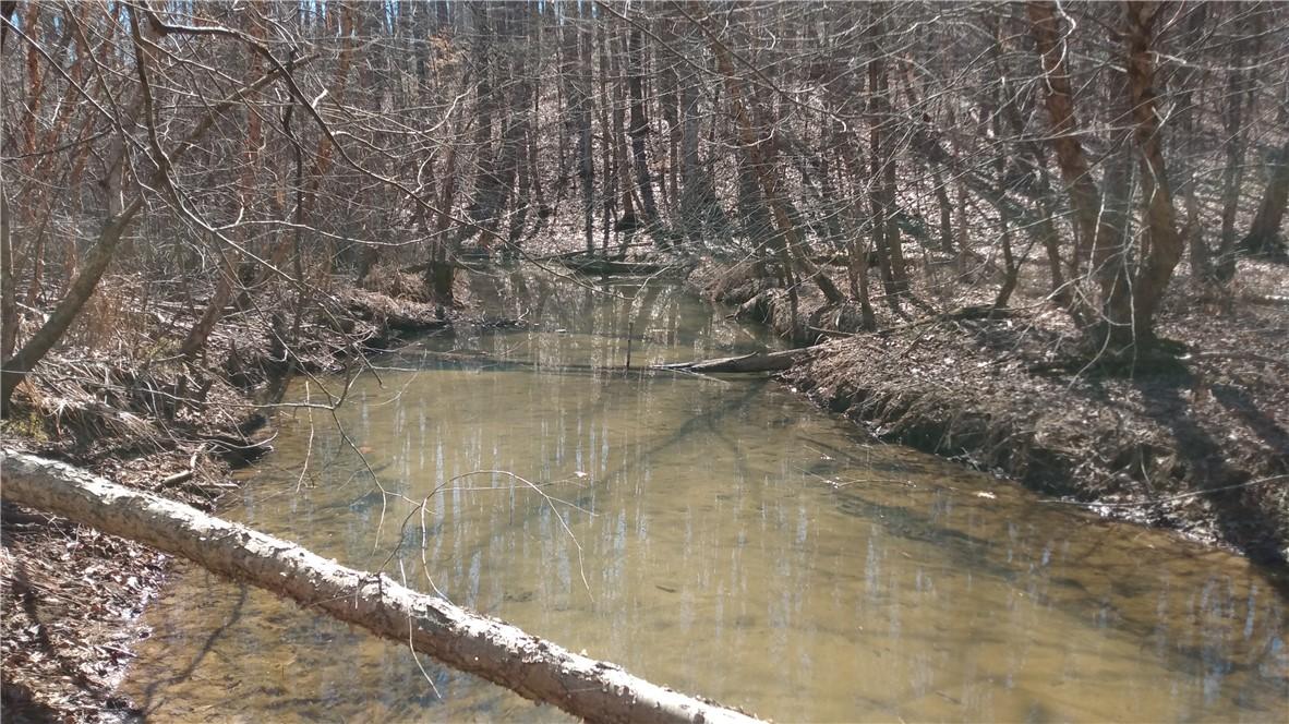 Image 2: creek behind lot