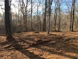 LOT 45 RIVERSTONE Drive