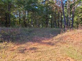 Lot 39 Eastatoe Parkway