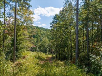 715 Timberbrook Trail