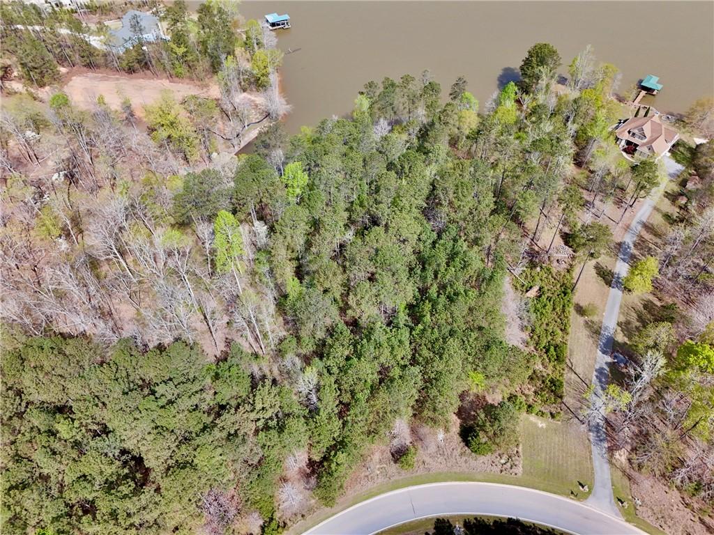 Image 4: This aerial view showcases a waterfront lot nestle