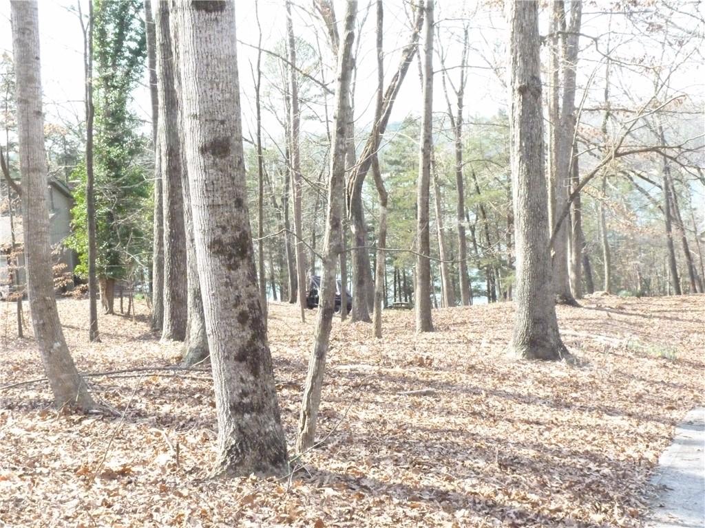 Image 1: This tranquil wooded lot offers a peaceful retreat