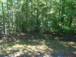 209 Chausette Trail