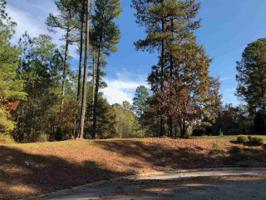 803 Brightleaf Court