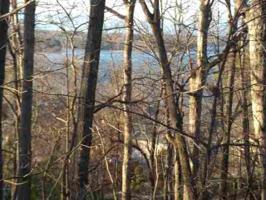 416 Woodridge Drive