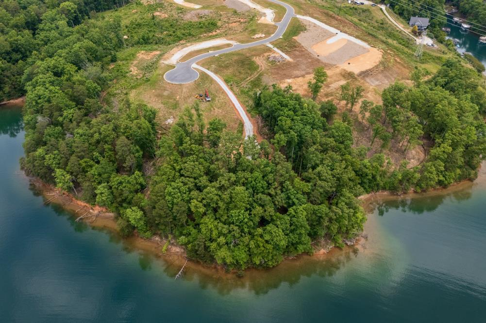 Image 3: Lush woodlands embrace a tranquil waterfront, reve