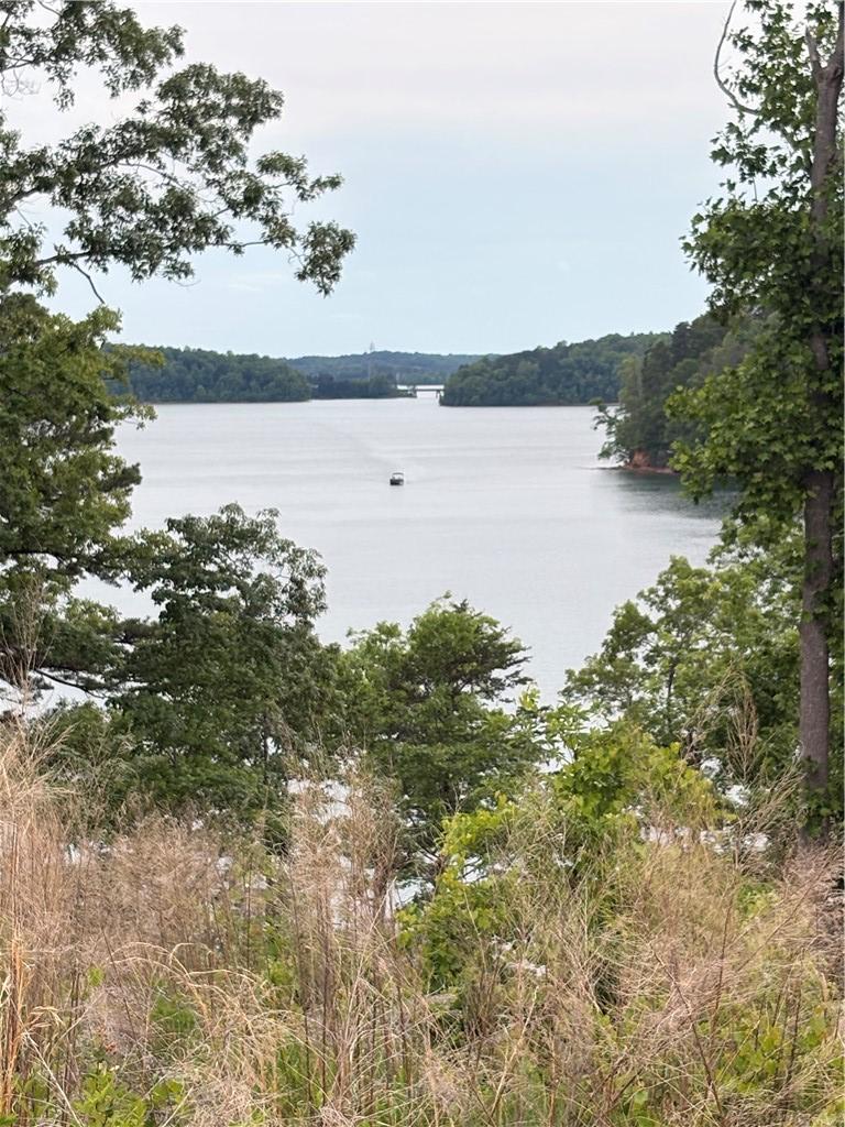 Image 1: Natural scenery frames a tranquil lake, promising