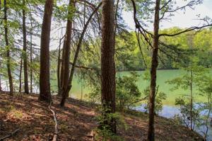 00 Shallow Ford Road Lot 1, 2 & 3