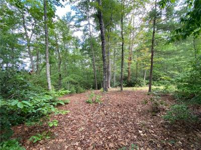 214 Eastatoe Parkway