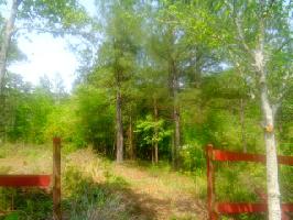 Lot 61 Sweetwater