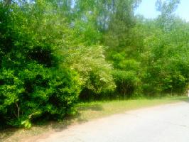 Lot 62 Sweetwater