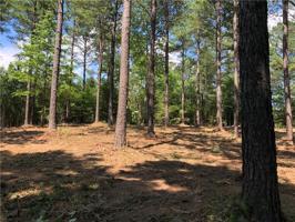 Lot 10 Forest Manor