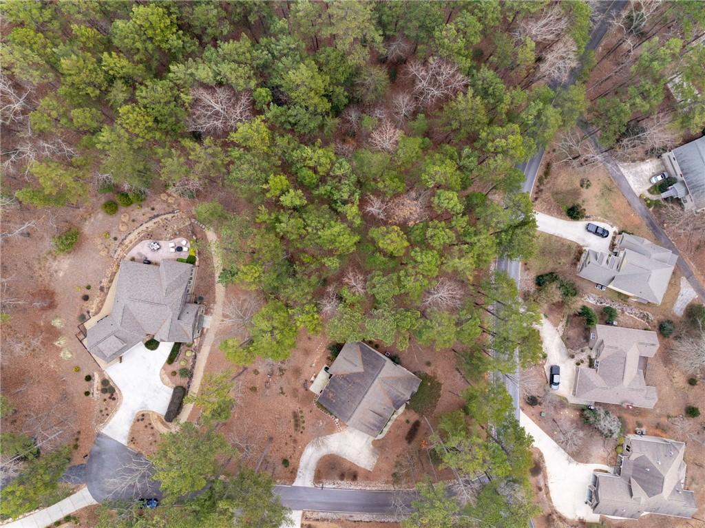 Image 3: This bird's-eye view reveals a tranquil community