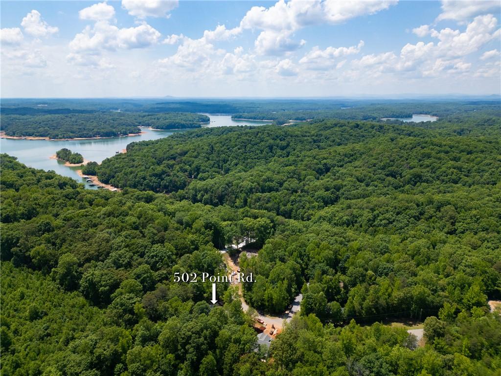 Image 3: A tranquil, tree-filled landscape embraces the dis