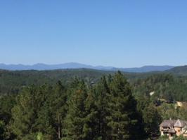 Gnarled Pine Court/Pileated Woodpecker Lane